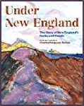Purchase Under New England